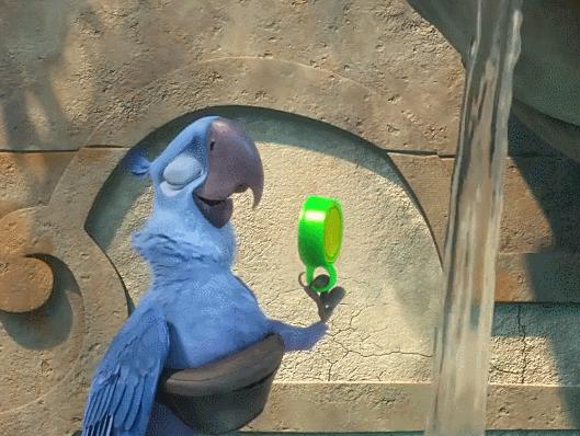 饮水机里面的水是不是比马桶还脏,饮水机里的水为什么比马桶水还脏