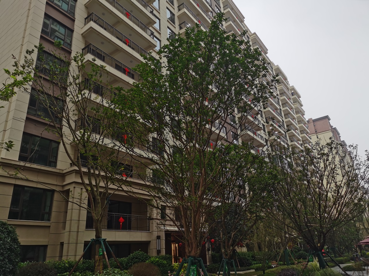 成都中海锦江城万锦熙岸一期,中海万锦熙岸二期住宅成都