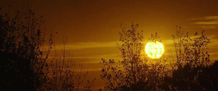 在监狱里当狱警的感受,狱警带你了解监狱生活