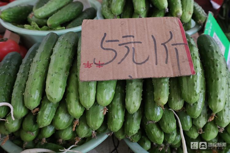 市民菜篮子有保障,市民菜篮子的视频