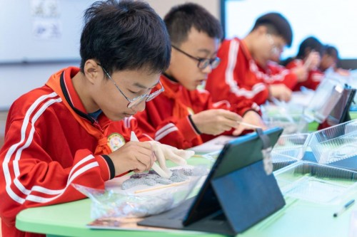 观摩交流促提升，六郎中学“校园开放日”展智慧新风