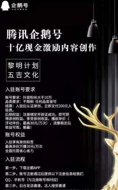 企鹅号黎明计划什么梗,新企鹅号黎明计划