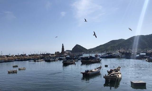 大连去上海南京苏杭旅游攻略,大连旅游攻略必玩的景点冬季