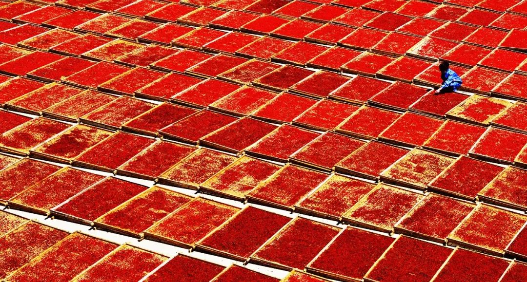 历史文化名城武威,武威市历史文化名城