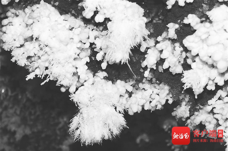 海南特色洞穴,海南海滩洞穴