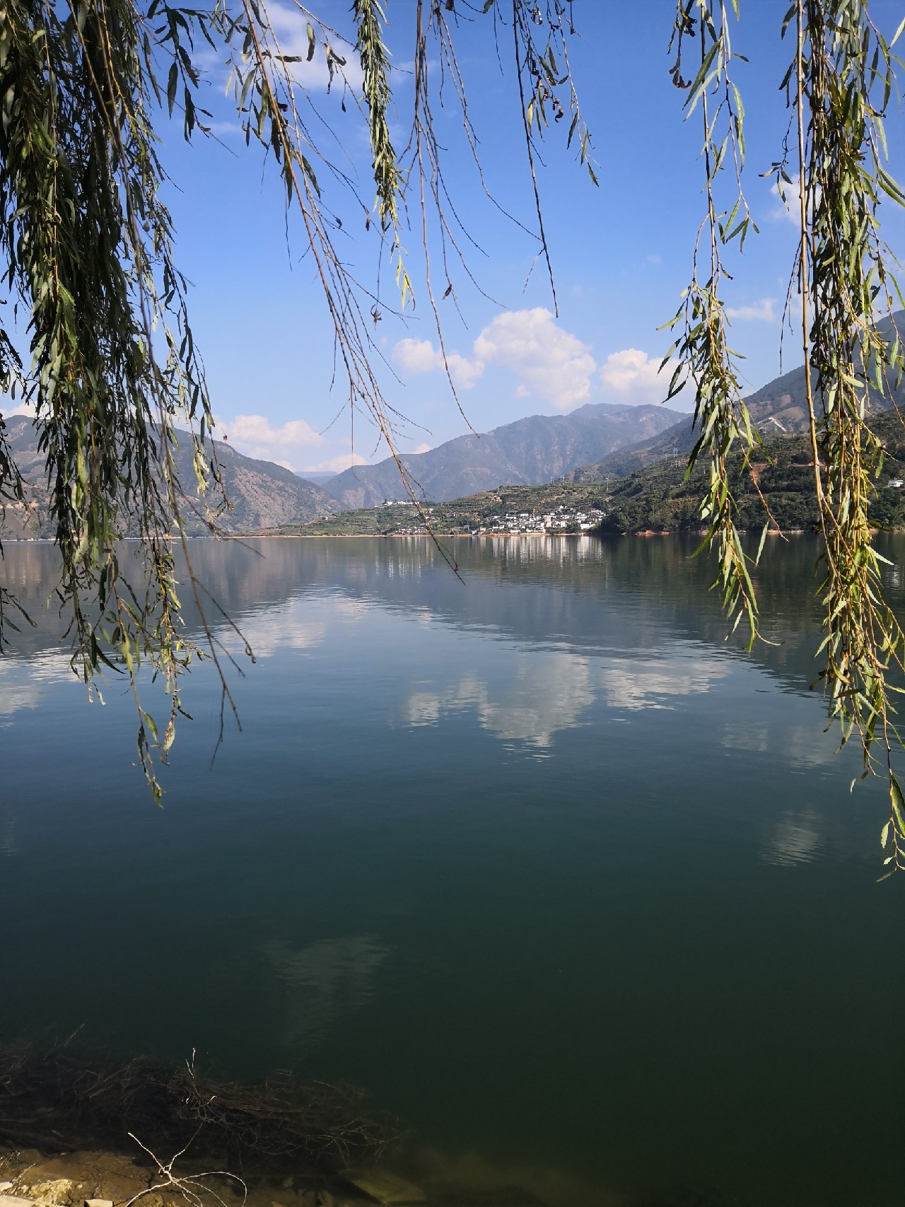 梅子姐这次选了没有打窝的钓位，渔获究竟如何呢