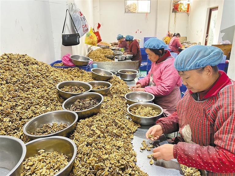 洛南有文玩小核桃吗,深山小核桃富民大产业