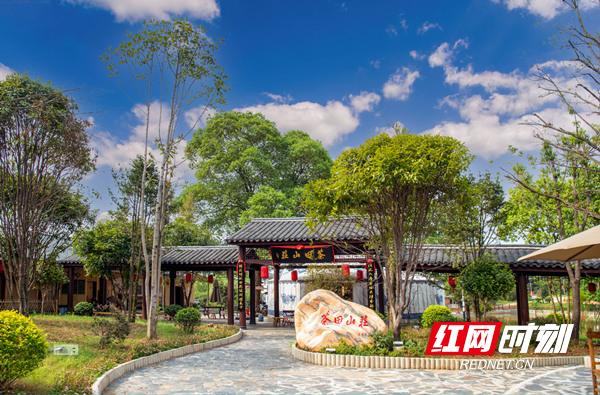 党建引领四新聚力赋能乡村振兴,基层党建与乡村振兴上墙内容