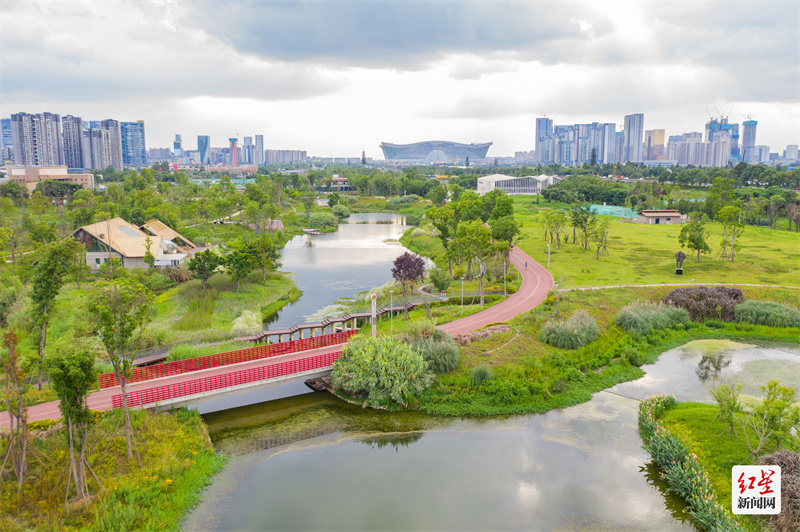 翡翠项链要多少钱一条,惊艳的翡翠项链