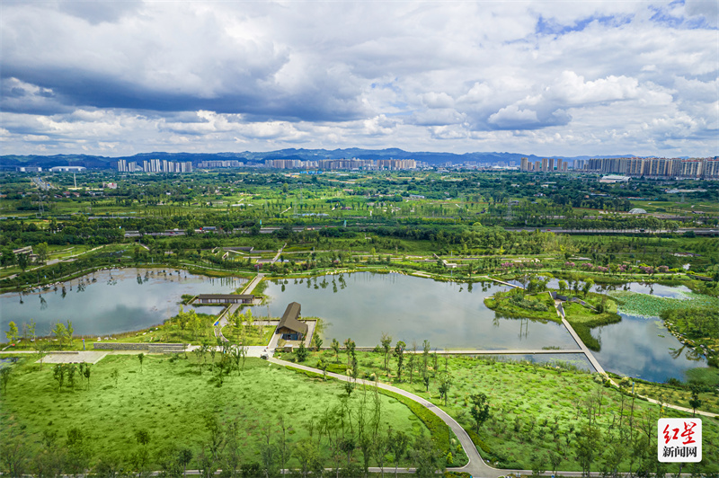 翡翠项链要多少钱一条,惊艳的翡翠项链