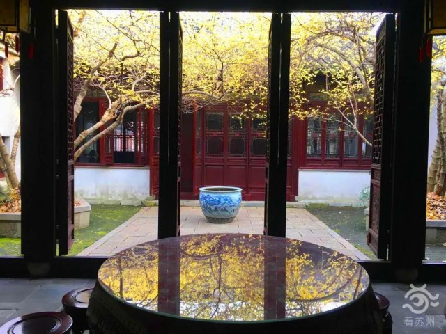 苏州赏腊梅最佳去处,苏州腊梅观赏攻略