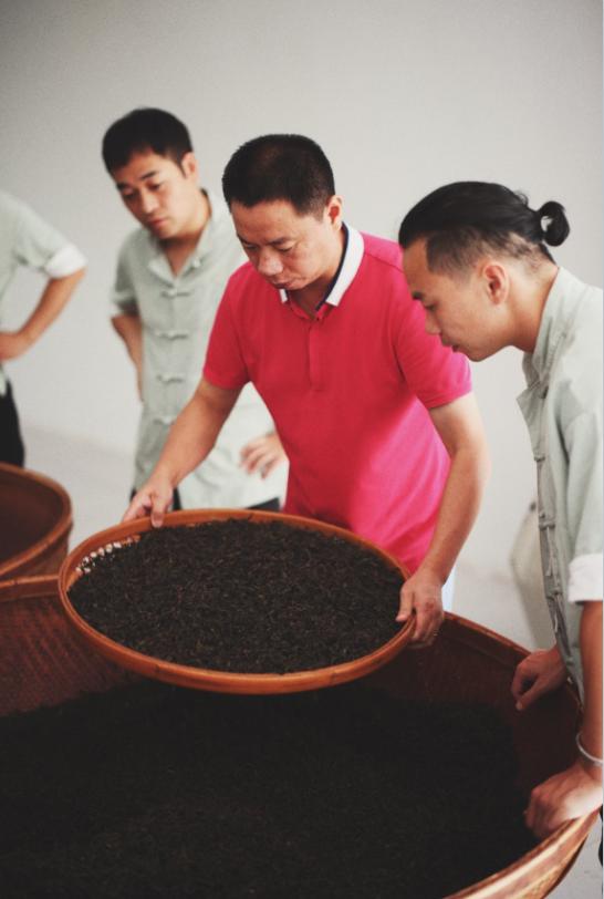 武夷岩茶的崛起,武夷岩茶新一代领军人物