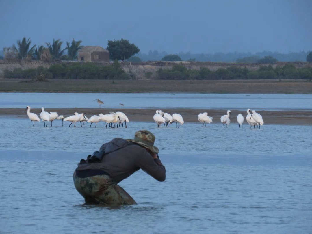 「开局十四五」海南:中国最大特区“买全球”“卖全球”聚四方之才筑国际自贸港高地