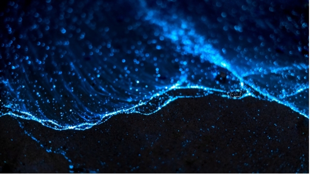 超越界限——索尼Alpha1使用体验