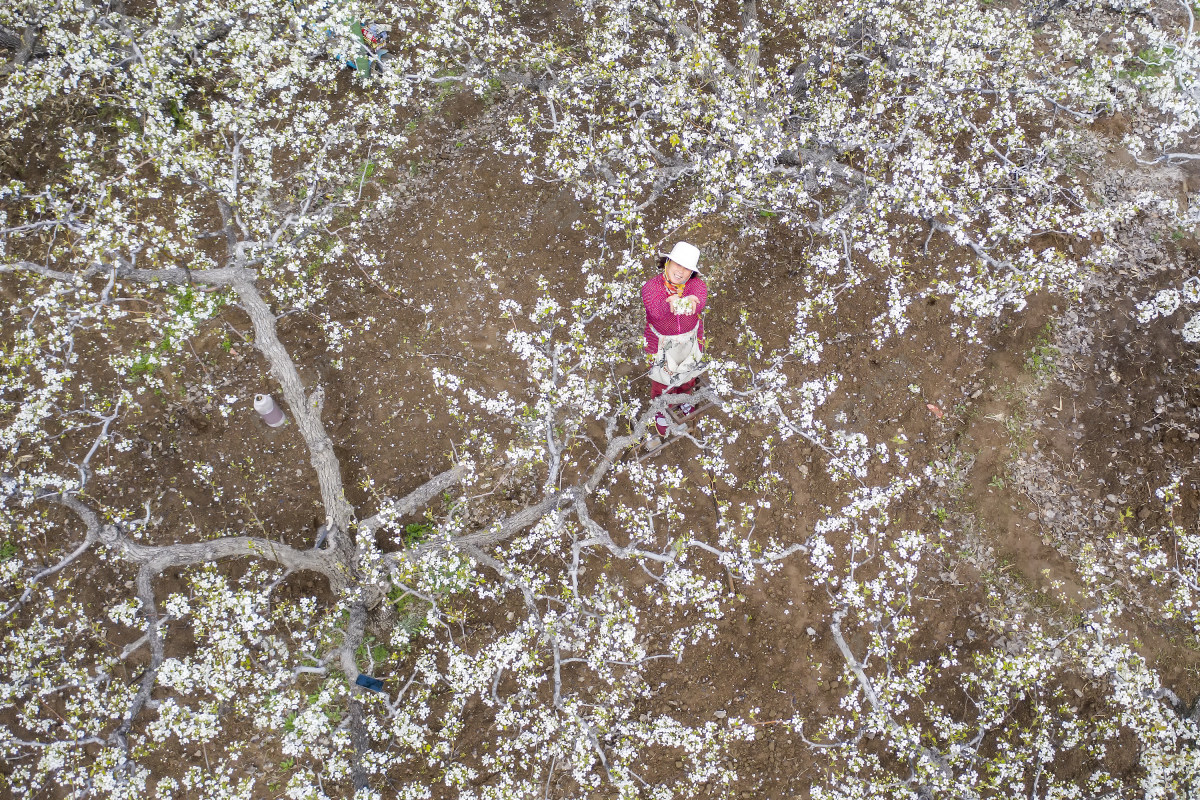 滨州滨城区摄影师,滨州摄影师事迹介绍
