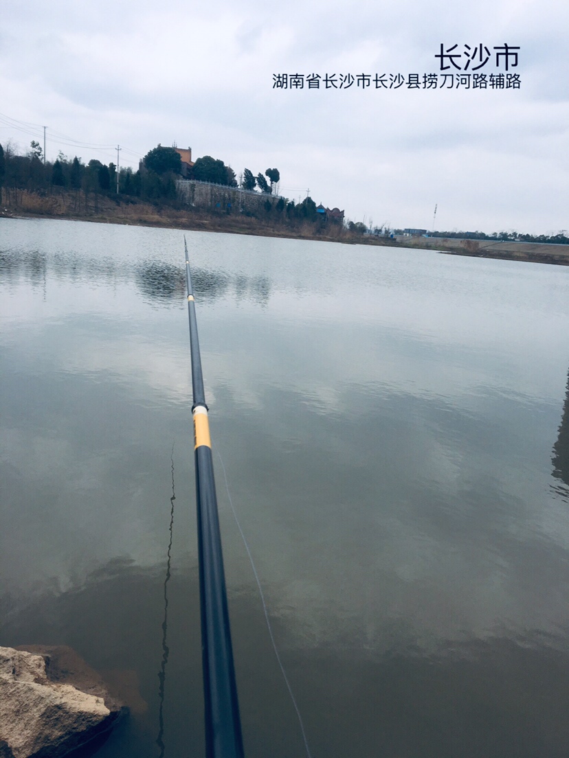 用老婆的菜篮子装新年的第一“金”