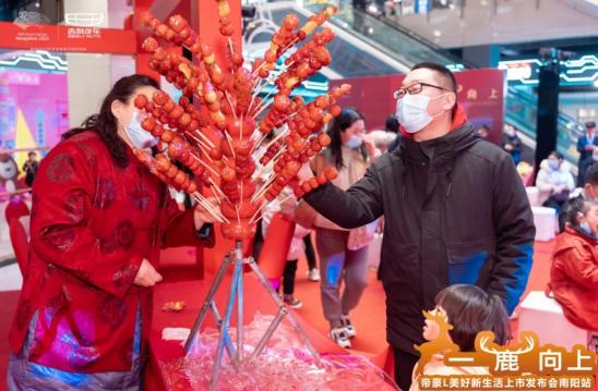 全新吉利帝豪l上市,吉利新款帝豪l官图发布