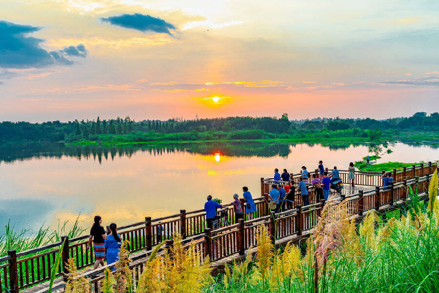 聚焦共富踔厉奋进成都科蓉“组合拳”精准助力乡村振兴