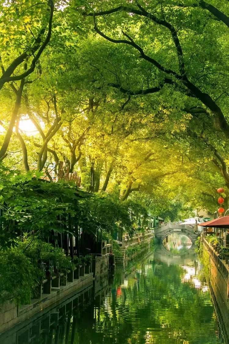 苏州春天旅行推荐,苏州春夏季旅游攻略最新