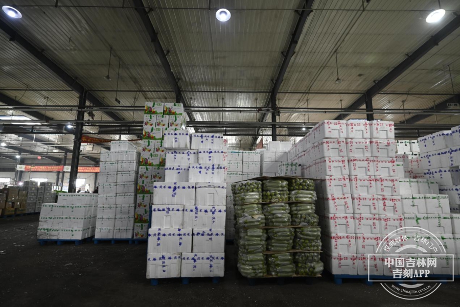 长春东北亚蔬菜批发市场最新消息,长春海吉星蔬菜批发市场在哪里