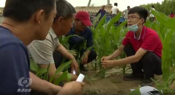 科技小院对乡村振兴的意义,科技小院助力乡村振兴