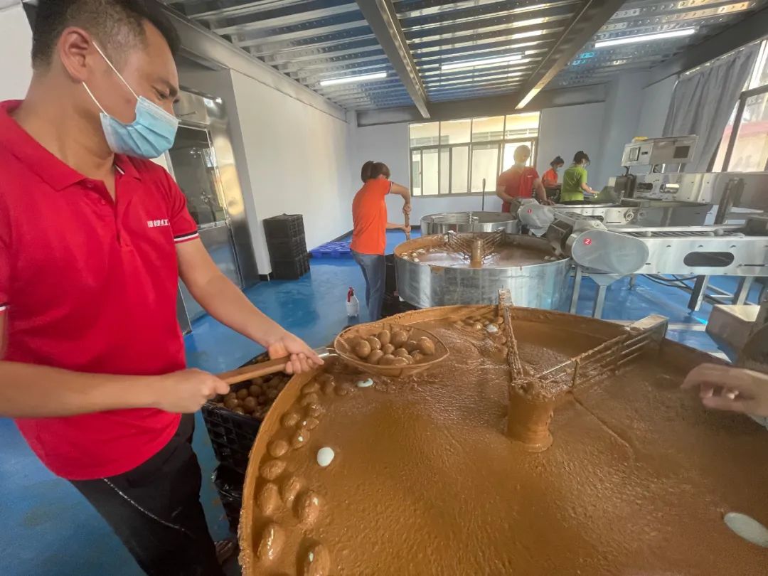 打造村级特色产业集群,因地制宜实现乡村产业兴旺