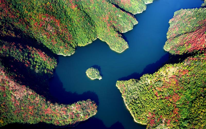 十堰绿水青山,2022十堰张湾区十件实事