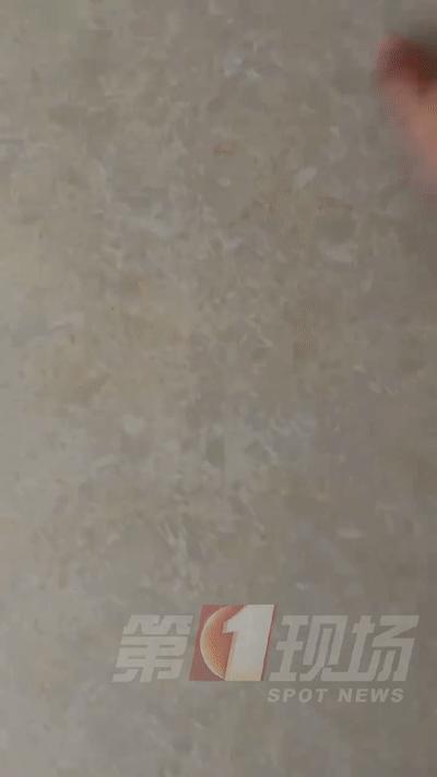 回南天的天气感觉家里像水帘洞,回南天像生活在水帘洞里一样