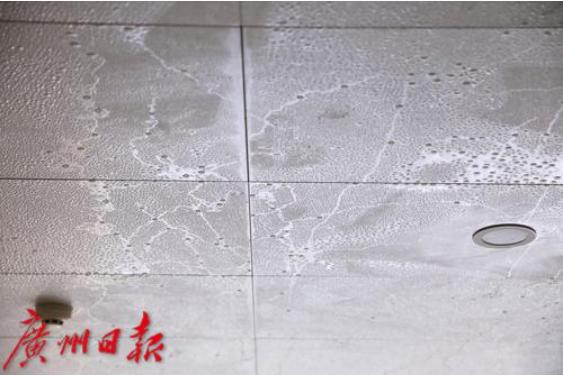 南方人回南天在玻璃上写字的“快乐”，北方人永远不懂……