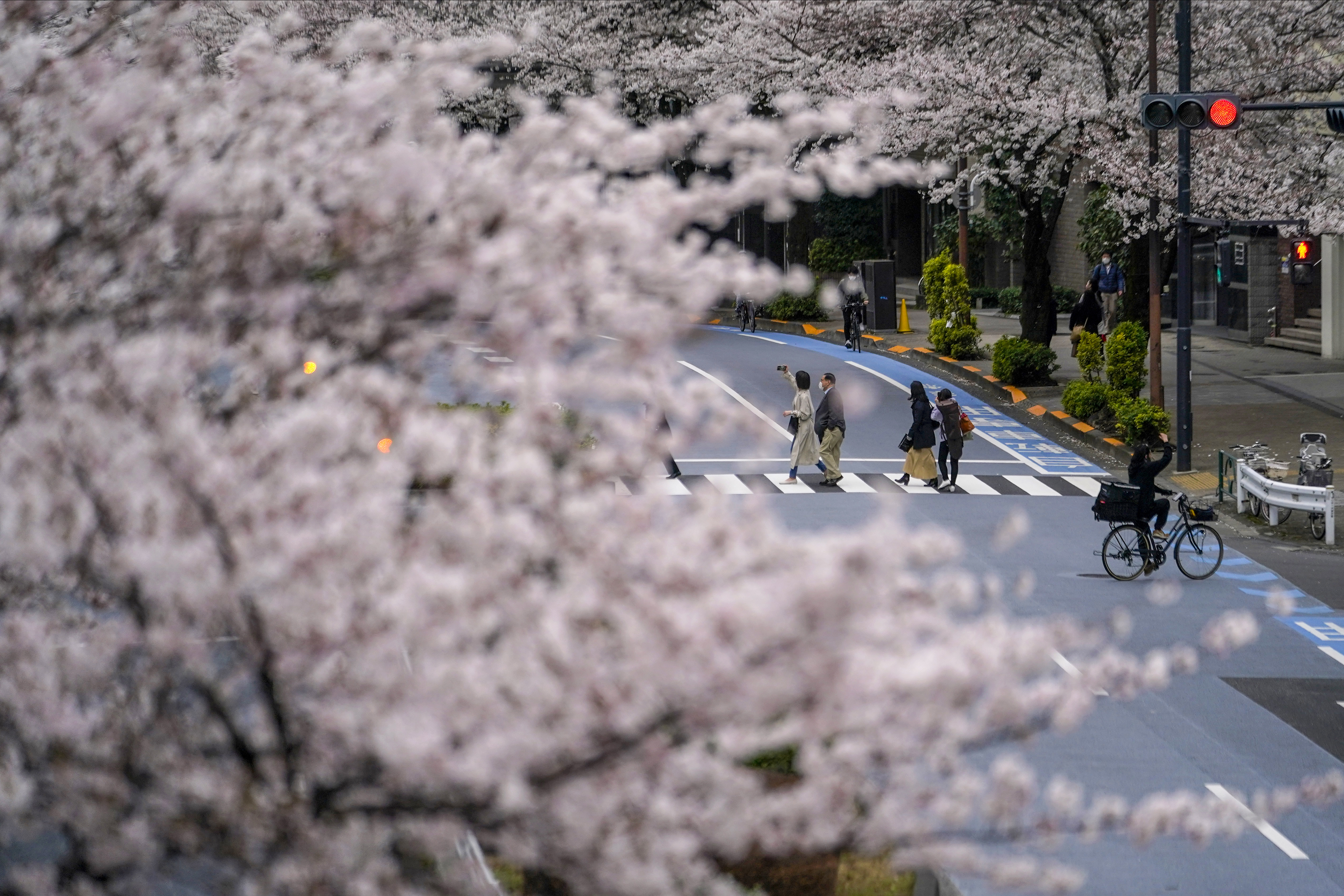 外代一线维也纳,外代一线铸造图片