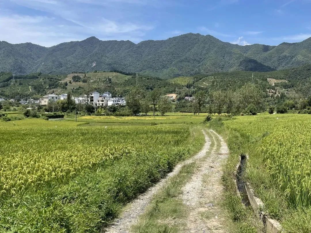 铅厂:阳明山下好民风——淳朴民风加速美丽乡村建设