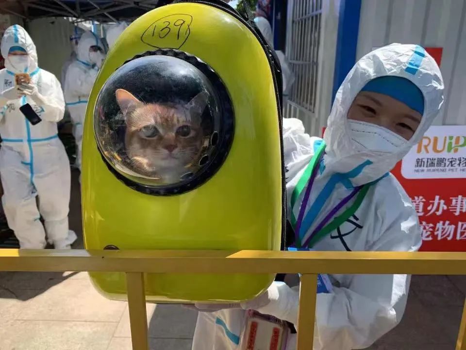 宠物方舱,宠物方舱真相在哪