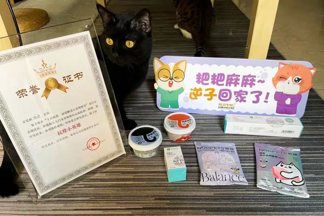 揭秘全国首个“宠物方舱”：揭秘全国首个“宠物方舱”：它们过得怎么样？它们过得怎么样？