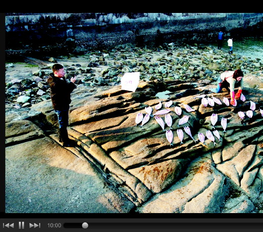 青岛哪里有渔船卖鲅鱼的,鲅鱼直播卖货青岛平度市