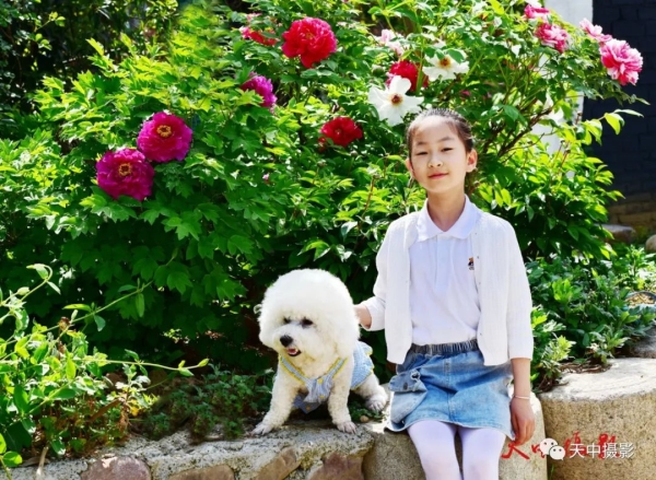 又到牡丹花开时不负光阴不负春