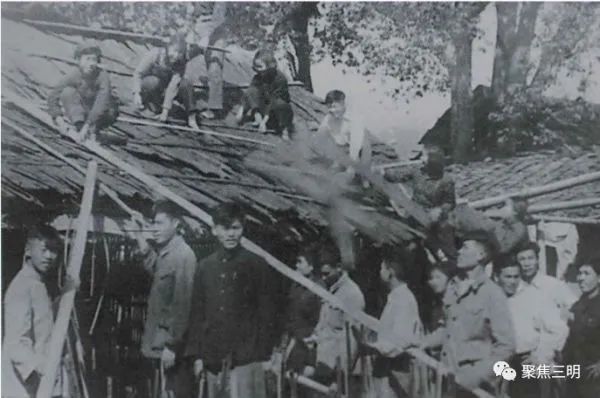 沪明情深！背后的故事不曾忘记