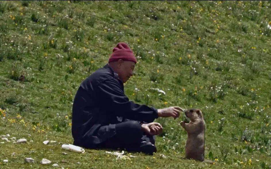 中国人独有的浪漫纪录片,中国人特有的浪漫纪录片