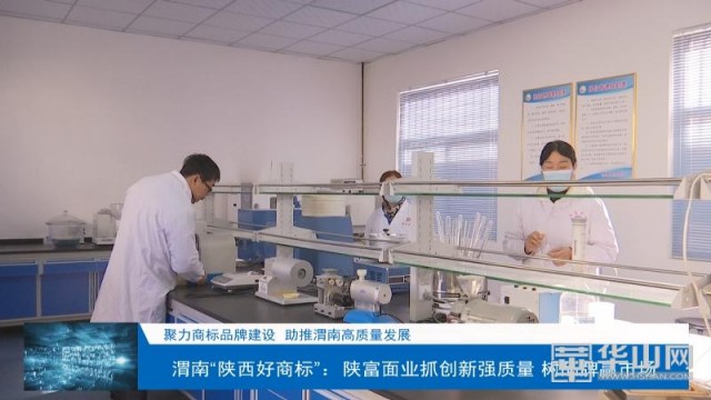 陕富面业老家面和农家面有啥区别,陕富面业有限责任公司执行总经理