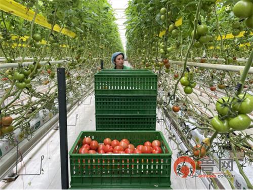 在大战大考中践行初心使命—青岛莱西市经济开发区、龙水社区打赢疫情防控和经济建设侧记