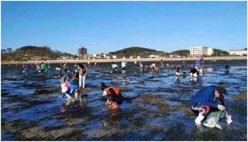 长海县旅游攻略海滩,长海县海岛赶海地点推荐