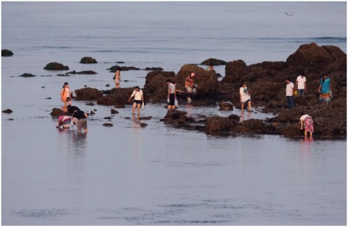 长海县旅游攻略海滩,长海县海岛赶海地点推荐