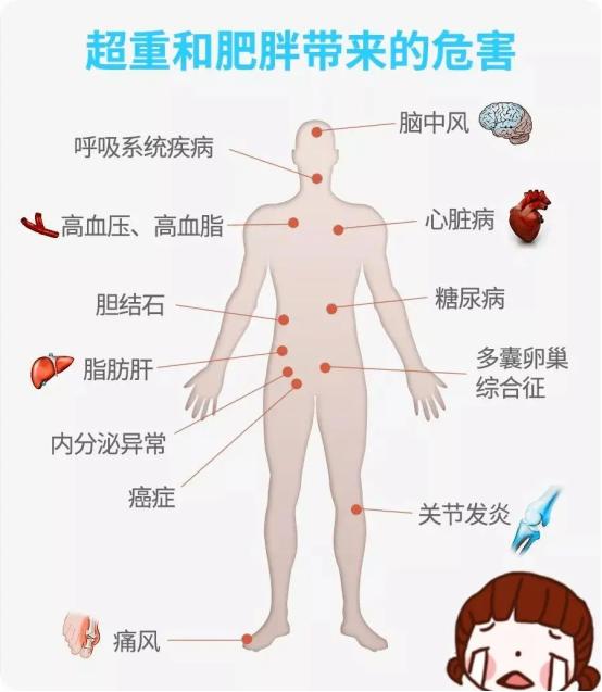 肥胖和体型有关吗,肥胖和性格有关系吗