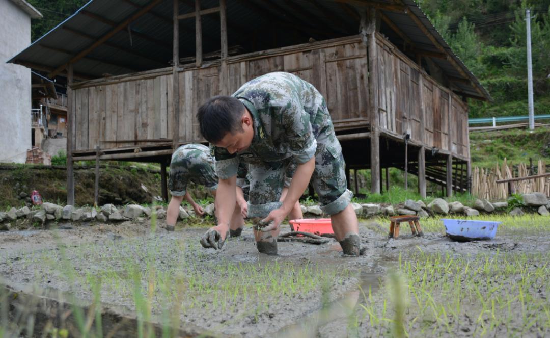 致敬战友们的图片,致敬战友的古诗句