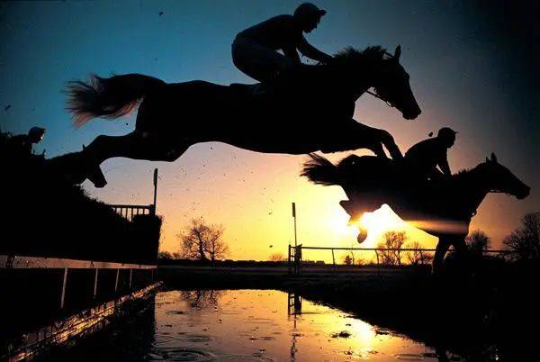 美国暴发h3n8亚型马流感疫情,美国流感死亡6000人是真是假