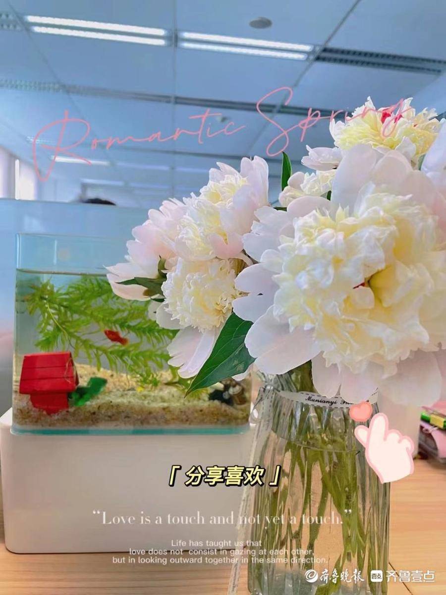 鑫闻界｜9.9元实现鲜花自由？鲜花电商们的低价竞争