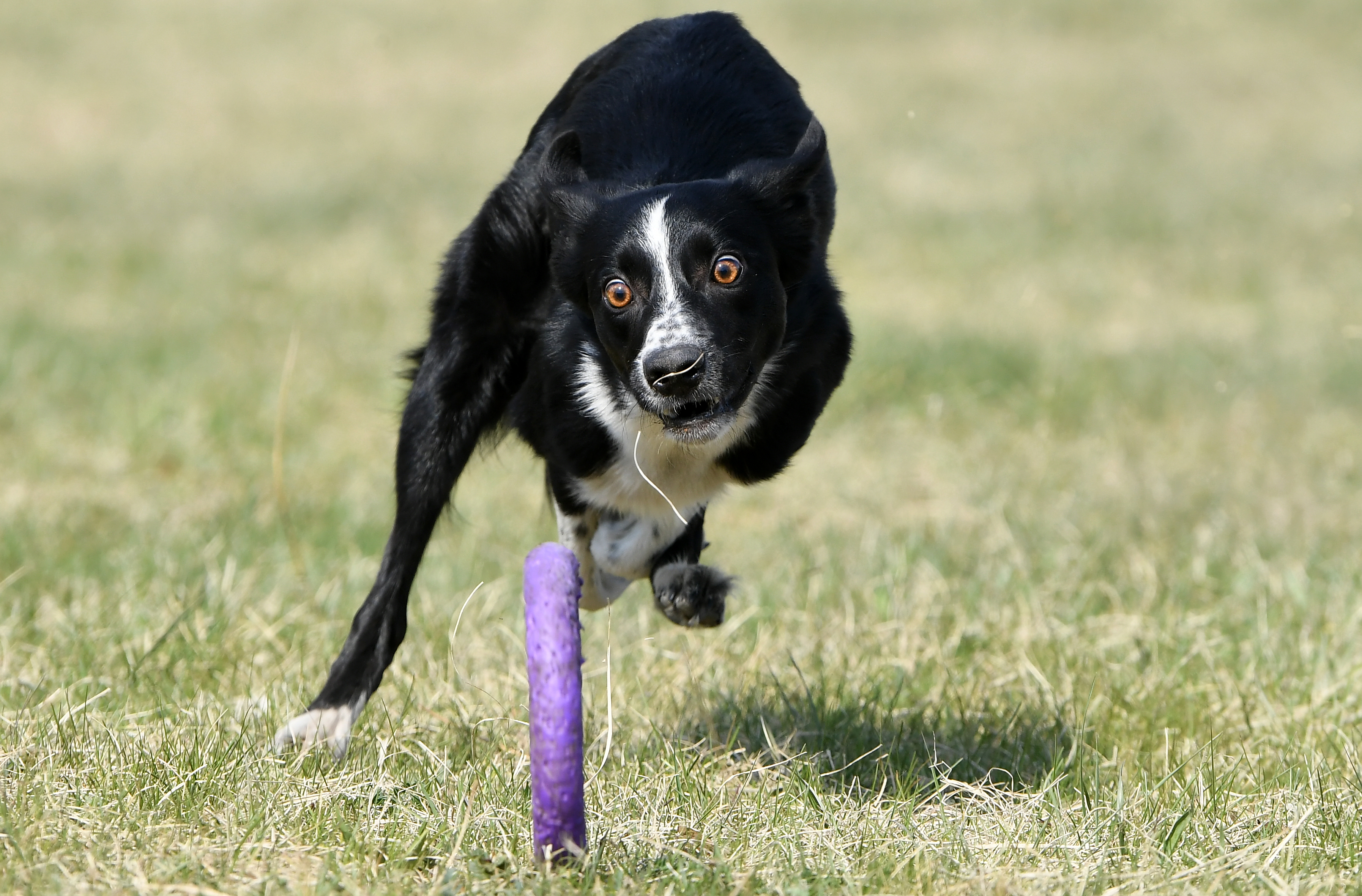 外代二线巴塞尔,外代二线