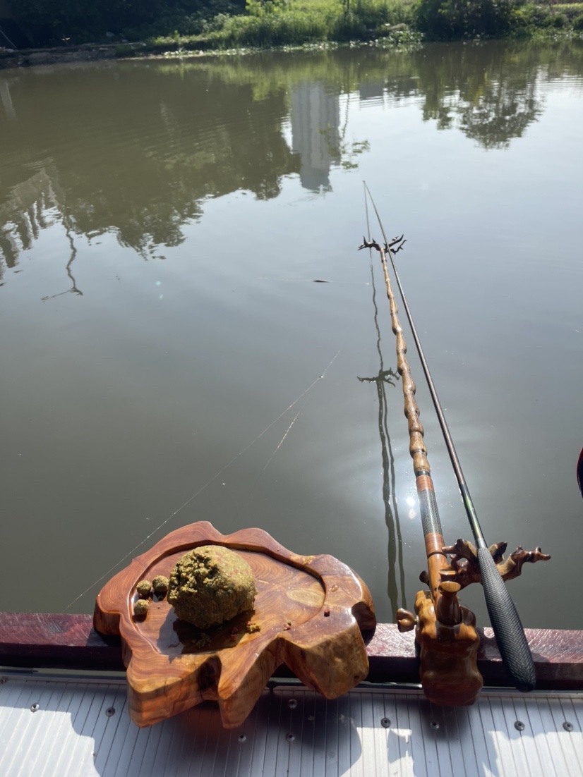 「518」小罗非垂竿自上，清道夫碳烤“美味”眼泪流