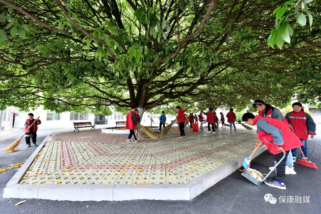 马桥镇中坪小学！不仅书声琅琅，还闻樟树飘香……