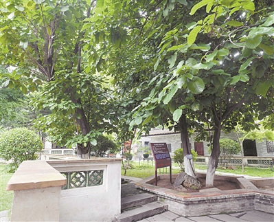 邓世昌致敬英雄,邓世昌为国捐躯儿童版视频