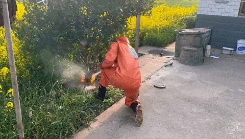 马蜂窝最佳驱蜂方法,马蜂窝的正确驱蜂方法